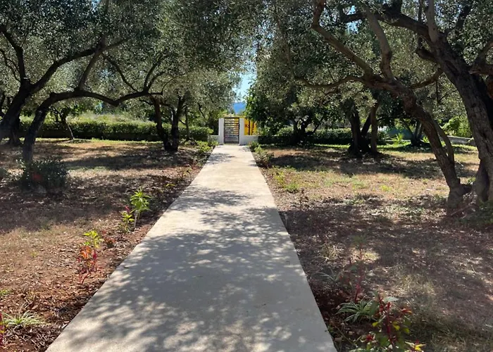 Apartman Oliva