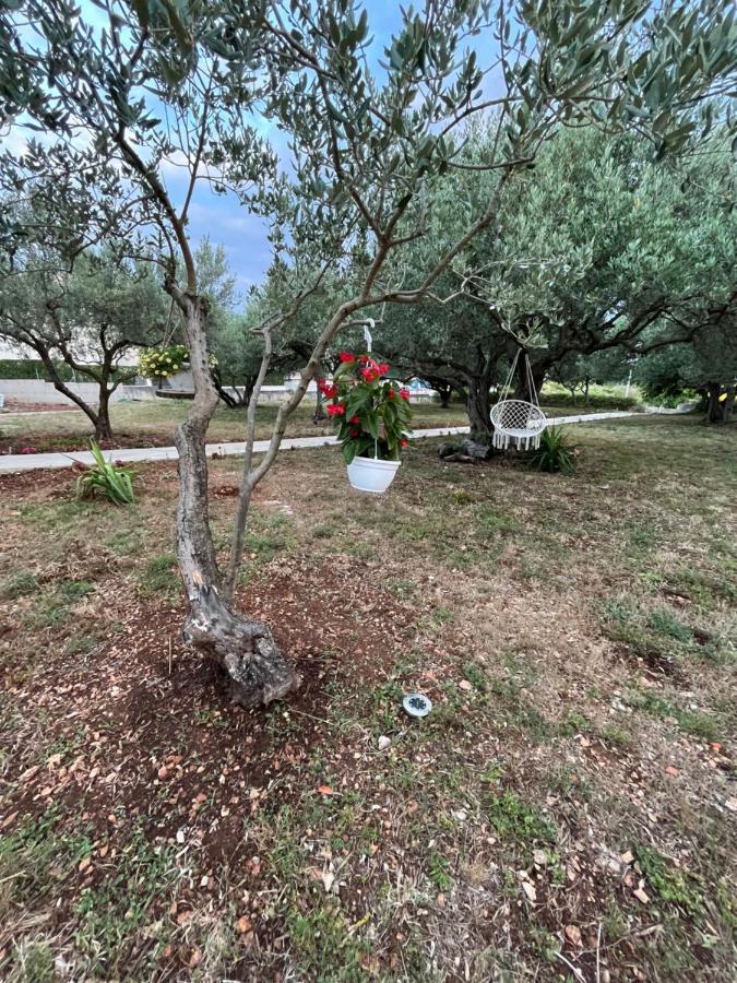 Apartamento Oliva Zadar