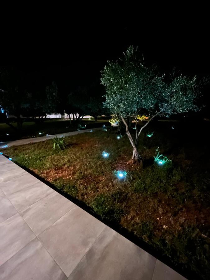 Apartamento Oliva Zadar